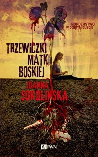 Trzewiczki Matki Boskiej - Joanna Sokolińska - książka