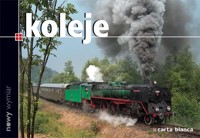 Koleje - Kurowska-Ciechańska Judyta, Ciechański Ariel - książka