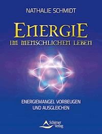 Energie im menschlichen Leben - Nathalie Schmidt - ebook