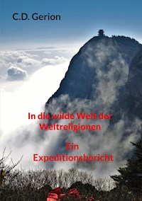 In die wilde Welt der Weltreligionen - C.D. Gerion - ebook