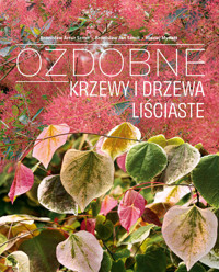 Ozdobne krzewy i drzewa liściaste - Szmit Bronisław Artur, Szmit Bronisław Jan, Mynett Maciej - książka