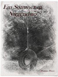 Ein Sommer in Nirgendwo - Thomas Plörer - ebook