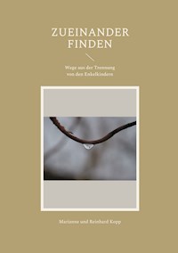 Zueinander finden - Marianne Kopp - ebook