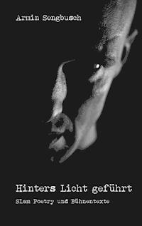 Hinters Licht geführt - Armin Sengbusch - ebook