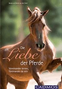 Die Liebe der Pferde - Nanda van Gestel-van der Schel - ebook