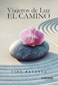 Viajeros de luz - Fina Navarro - ebook