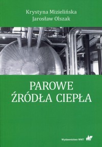 Parowe źródła ciepła - Mizielińska Krystyna, Olszak Jarosław - książka