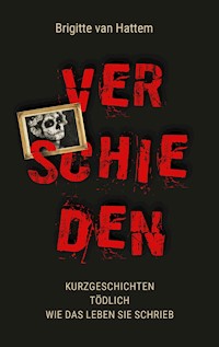 Verschieden - Brigitte van Hattem - ebook