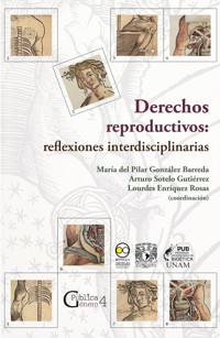 Derechos reproductivos: reflexiones interdisciplinarias - María Pilar González del Barreda - ebook