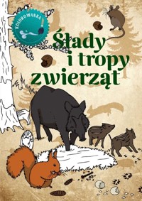 Ślady i tropy zwierząt. Kolorowanka - Katarzyna Kopiec-Sekieta - książka