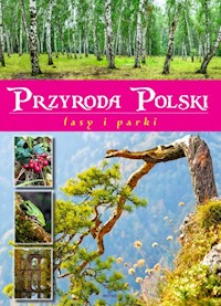 Przyroda Polski Lasy i parki - Zając Żaneta - książka
