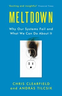 Meltdown - Chris Clearfield - ebook
