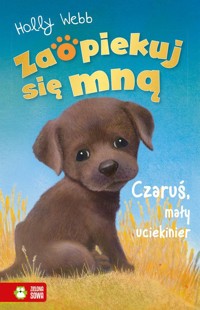 Zaopiekuj się mną Czaruś, mały uciekinier - Holly Webb - książka