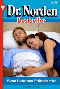 Wenn Liebe zum Prüfstein wird - Vandenberg Patricia - ebook