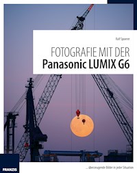Fotografie mit der Panasonic Lumix G6 - Ralf Spoerer - ebook