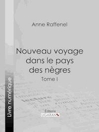 Nouveau voyage dans le pays des nègres - Anne Raffenel - ebook