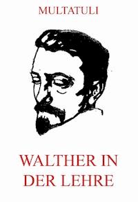 Walther in der Lehre - Multatuli - ebook