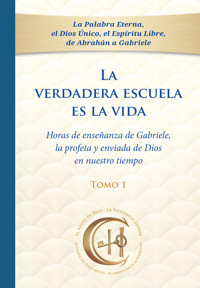 La verdadera escuela es la vida. Tomo 1 - Gabriele, Dipl. Ing. Höller - ebook