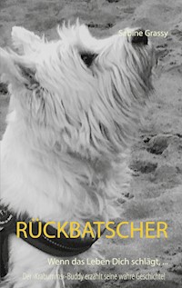 Rückbatscher - Sabine Grassy - ebook