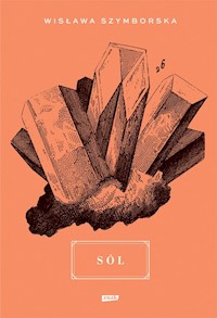 Sól - Grądziel-Wójcik Joanna - książka