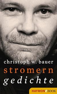 Stromern - Christoph W. Bauer - ebook