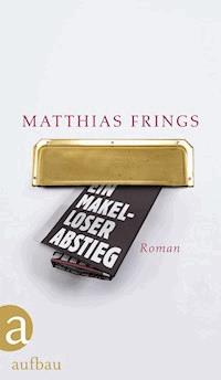 Ein makelloser Abstieg - Matthias Frings - ebook