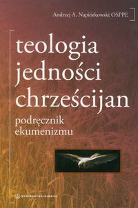 Teologia jedności chrześcijan - Napiórkowski Andrzej A. - książka