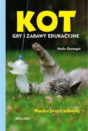 Kot. Gry i zabawy edukacyjne - Heike Grotegut - książka