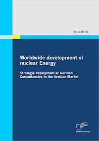 Worldwide development of nuclear Energy - Strategic deployment of German Consultancies in the Arabian Market - Felix Wilde - ebook
