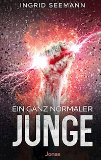Ein ganz normaler Junge - Ingrid Seemann - ebook