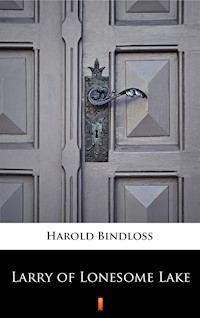 Larry of Lonesome Lake - Harold Bindloss - ebook