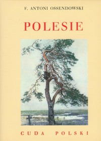 Polesie Cuda Polski - Ossendowski Antoni Ferdynand - książka