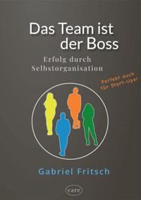 Das Team ist der Boss - Gabriel Fritsch - ebook