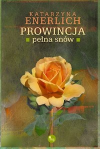Prowincja pełna snów - Katarzyna Enerlich - książka