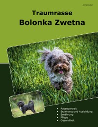Traumrasse Bolonka Zwetna - Anna Packer - ebook
