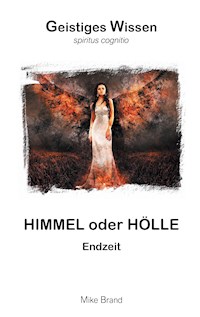 Himmel oder Hölle - Mike Brand - ebook