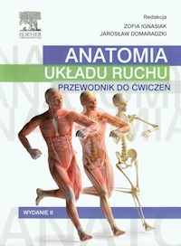 Anatomia układu ruchu Przewodnik do ćwiczeń -  - książka