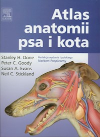 Atlas anatomii psa i kota - Done Stahley H., Goody Peter C., Evans Susan A., Stickland Neil C. - książka