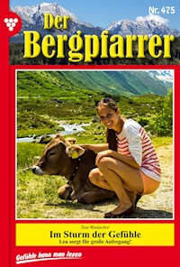 Sturm der Gefühle - Toni Waidacher - ebook