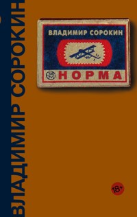 Норма - Sorokin Vladimir - ebook