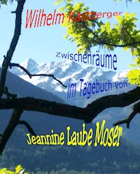 Zwischenräume im Tagebuch von Jeannine Laube-Moser - Wilhelm Kastberger - ebook