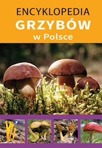 Encyklopedia grzybów w Polsce -  - książka
