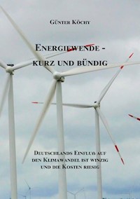 Energiewende - Kurz und Bündig - Günter Köchy - ebook