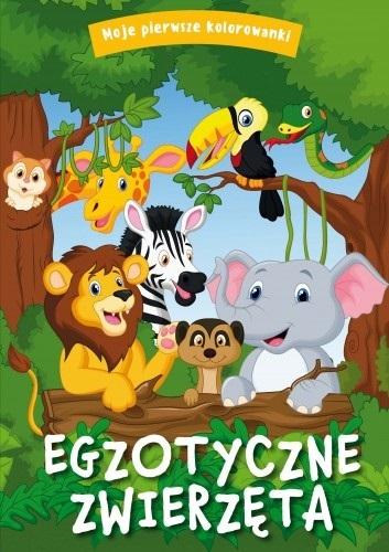 Moje pierwsze kolorowanki. Egzotyczne zwierzęta - zbiorowa praca - książka