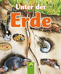 Unter der Erde - Bärbel Oftring - ebook