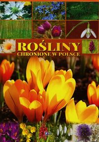 Rośliny chronione w Polsce -  - książka