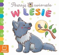Zwierzęta w lesie -  - książka