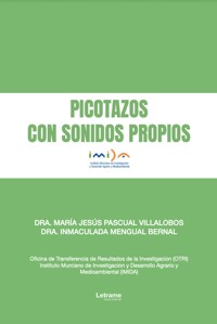 Picotazos con sonidos propios - MARÍA JESÚS PASCUAL VILLALOBOS - ebook