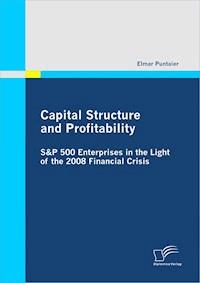 Capital Structure and Profitability: S&P 500 Enterprises in the Light of the 2008 Financial Crisis - Elmar Puntaier - ebook