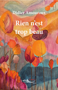 Rien n'est trop beau - Didier Amouroux - ebook